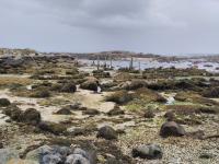 Rando-Finistere-18