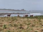 Rando-Finistere-20