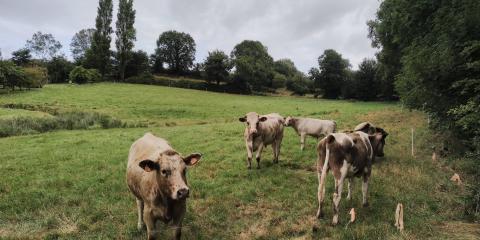 Randonnée Finistère Nord