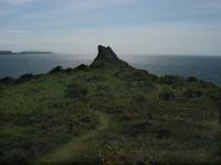 telgruc1_41