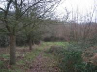tremeur_campagne_13