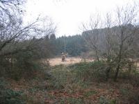 tremeur_campagne_15