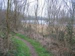 tremeur_campagne_16