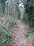 tremeur_campagne_18
