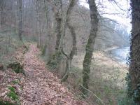 tremeur_campagne_19