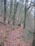 tremeur_campagne_20