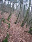 tremeur_campagne_21