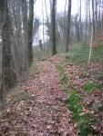 tremeur_campagne_25