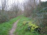 tremeur_campagne_26