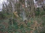 tremeur_campagne_27