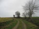 tremeur_campagne_29
