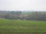 tremeur_campagne_30