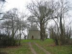 tremeur_campagne_31