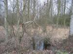 tremeur_campagne_34