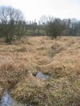 tremeur_campagne_35