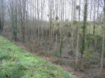 tremeur_campagne_38