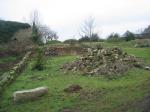 tremeur_campagne_39