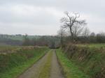 tremeur_campagne_42