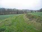 tremeur_campagne_46