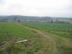 tremeur_campagne_47