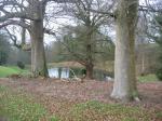 tremeur_campagne_50