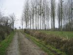 tremeur_campagne_55
