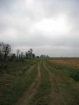 tremeur_campagne_56