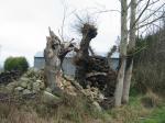 tremeur_campagne_58
