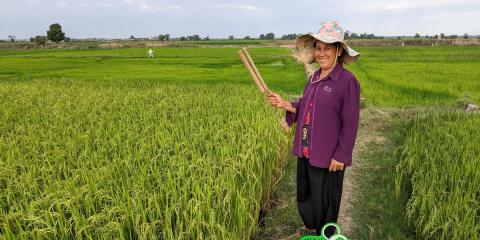 Cambodge 2023 - Deuxième partie