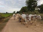 Cambodge-2023-074