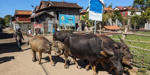 Cambodge 2023 - Première partie