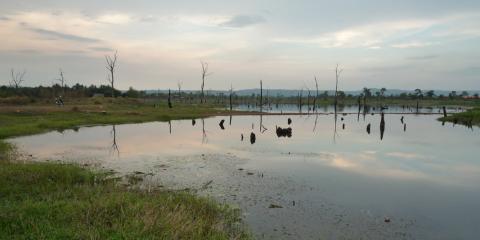 Anlong Veng - 2009