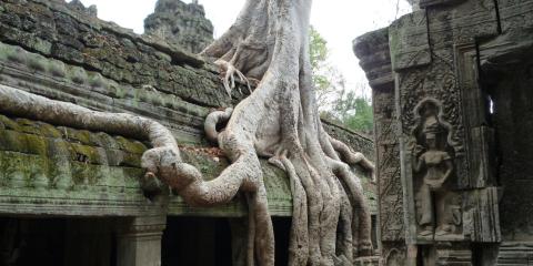 Temples d'Angkor - 2 - 2009