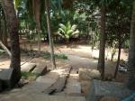 angkor-3-22