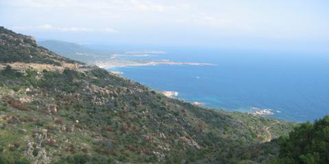 Bonifacio