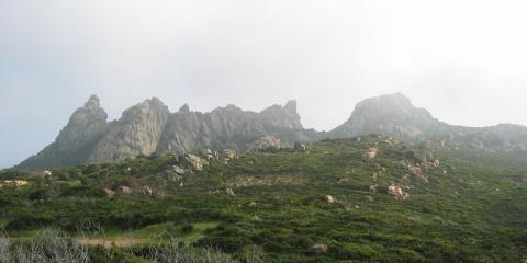 Bonifacio