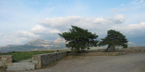 Calvi
