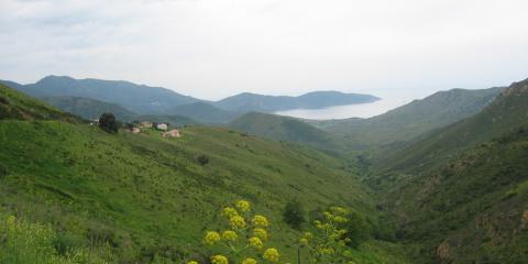 Filitosa