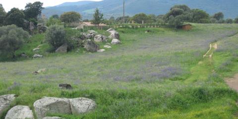 Filitosa
