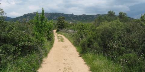 Filitosa