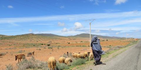 En vrac: Guelmim, Mirleft, Mesti
