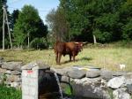 cantal-01