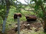 cantal-06