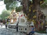chiang-mai-52