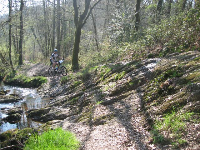 VTT en forêt de Paimpont